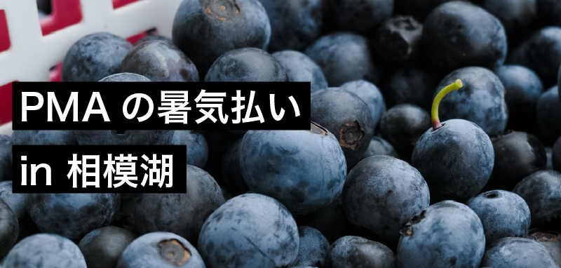 PMAの暑気払いin相模湖
